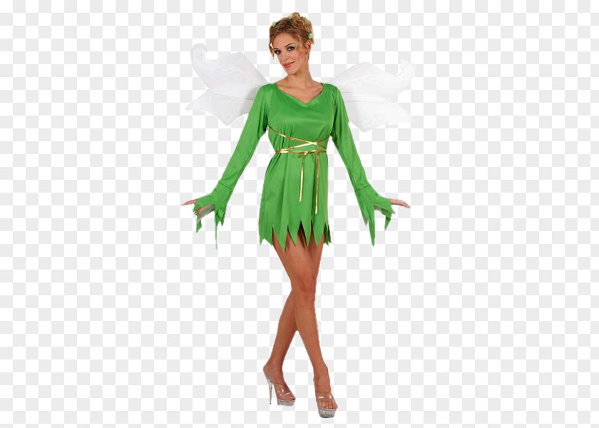 Tube Disguise The Green Fairy Carnival Costume PNG
