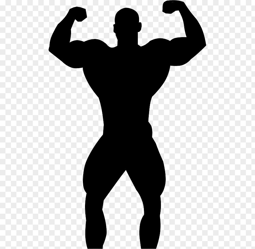 Bodybuilding Silhouette Professional Physical Fitness PNG