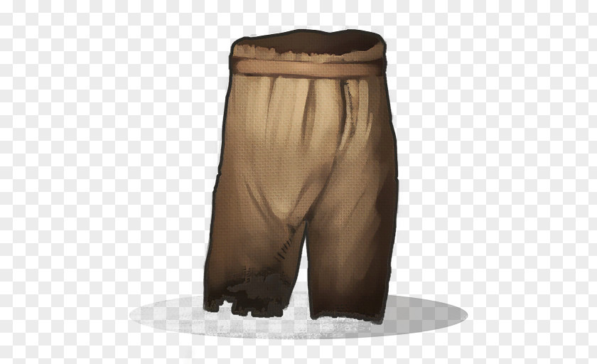Khaki Shorts PNG