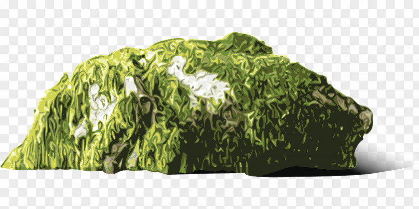 Moss Log Clip Art PNG