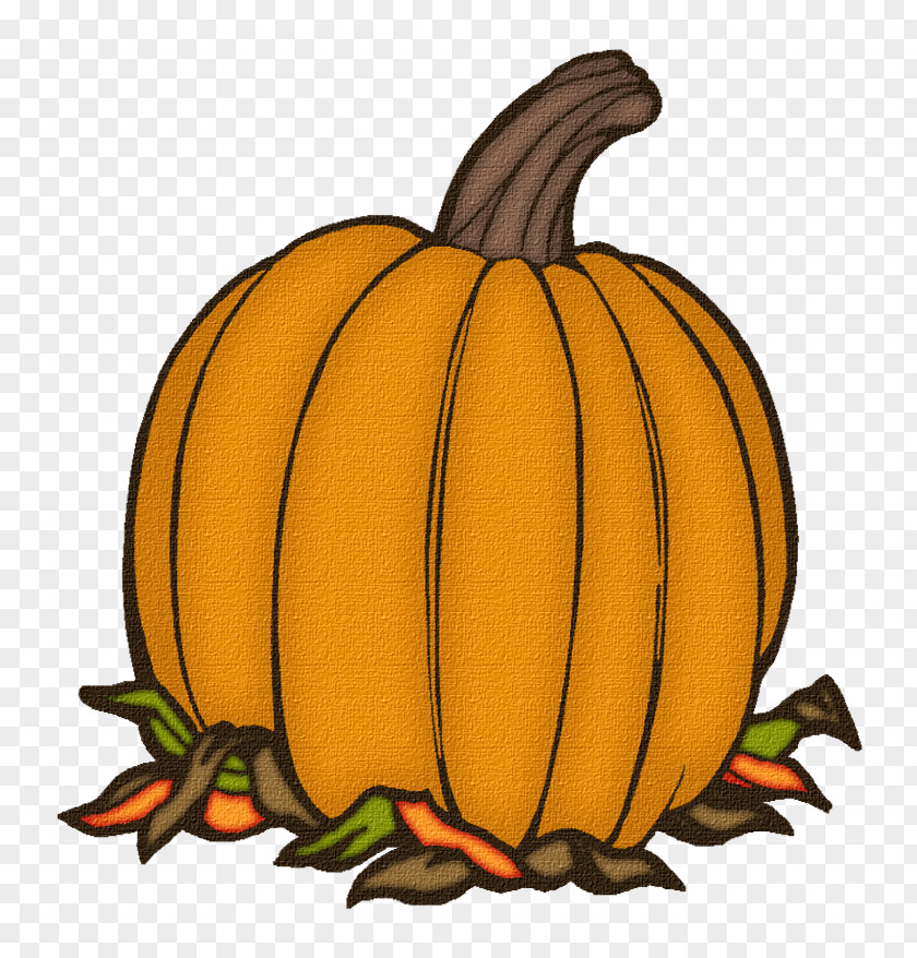 Pumpkin Jack-o'-lantern Gourd Winter Squash Calabaza PNG