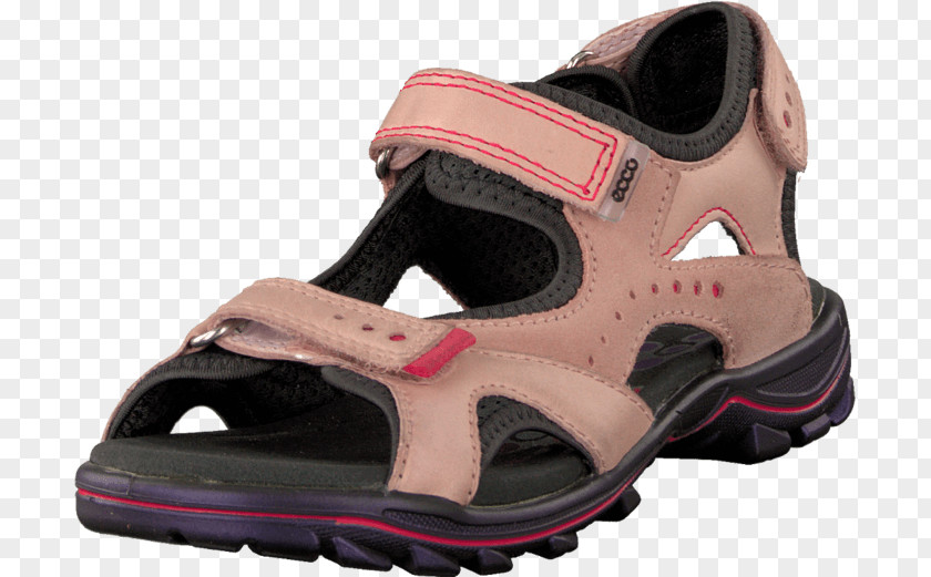 Sandal Slipper Shoe ECCO Sneakers PNG