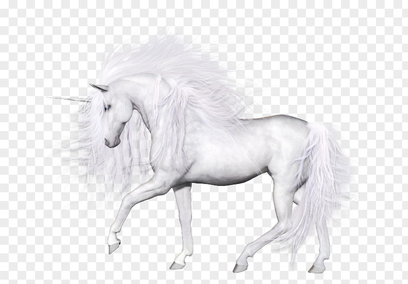 Unicorn Horse Clip Art PNG