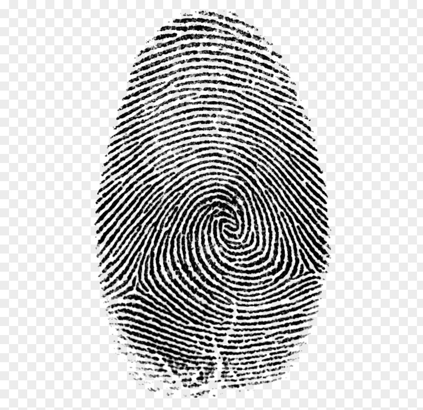 Fingerprint PNG clipart PNG
