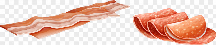 Fresh Bacon Seafood PNG