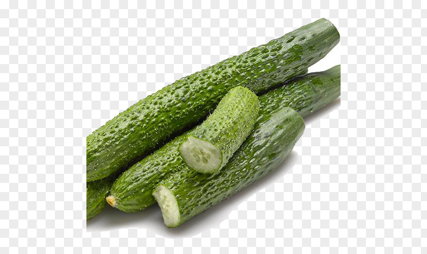 Fresh Cucumber Spreewald Gherkins Zucchini Vegetable Hot Pot PNG