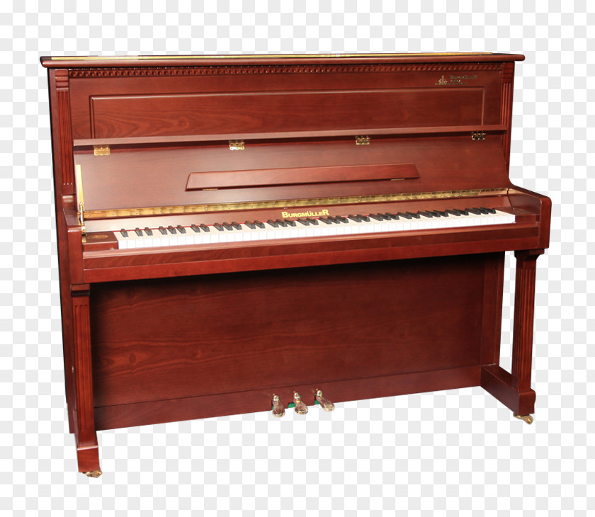 Piano Digital Electric Fortepiano Player Pianet PNG