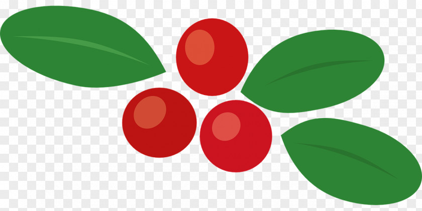 Berries Vector Graphics Clip Art Lingonberry PNG