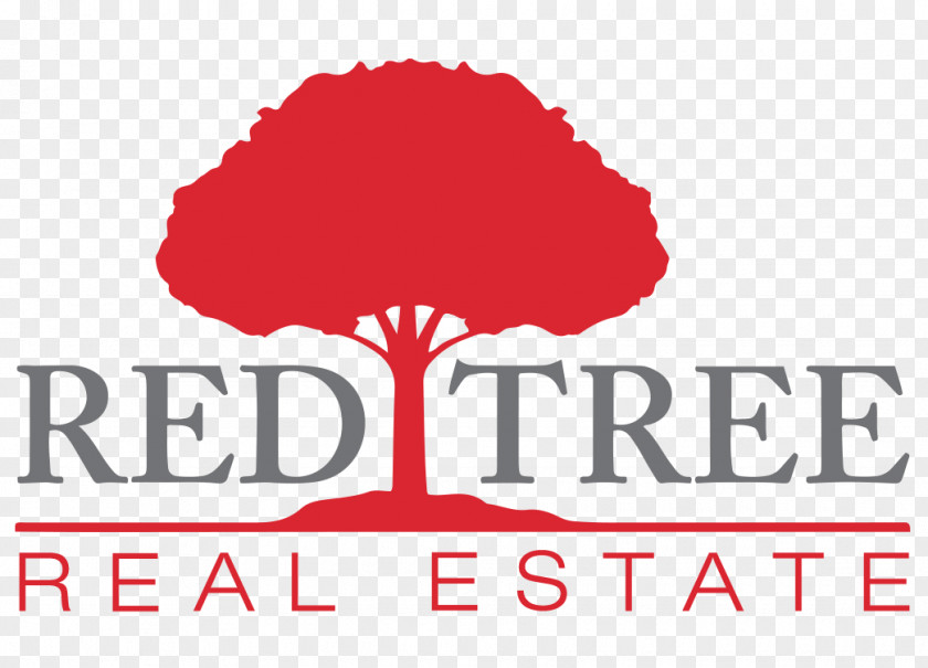 Business Child Brighton, Boston Margate City Red Tree Real Estate PNG