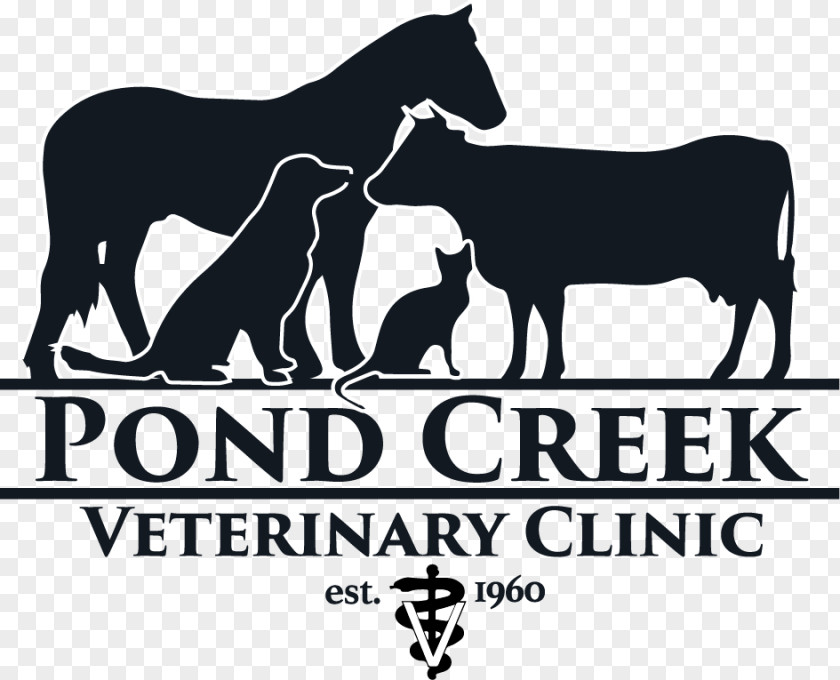 Horse Cattle Logo Pet Veterinarian PNG