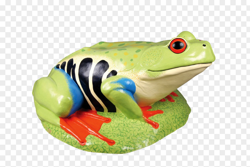 Cartoon Frog Amphibian PNG
