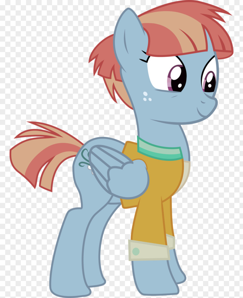 My Little Pony Rainbow Dash Whistles PNG
