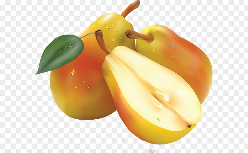 Pear Clip Art PNG