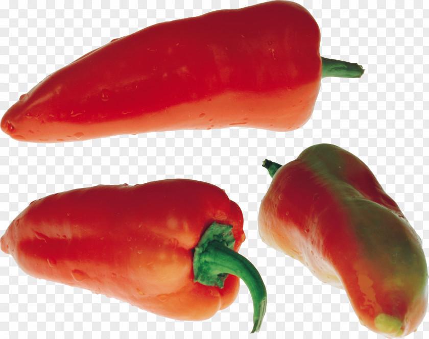 Pepper Image Bell Chili Vegetable PNG