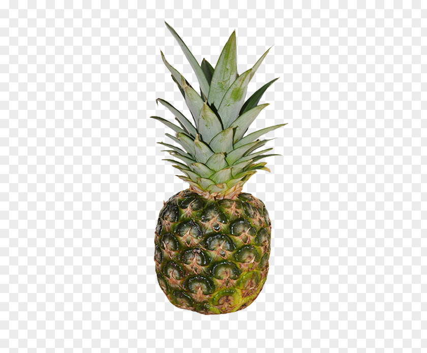 Pineapple Emoji Fruit Emoticon Brighton PNG