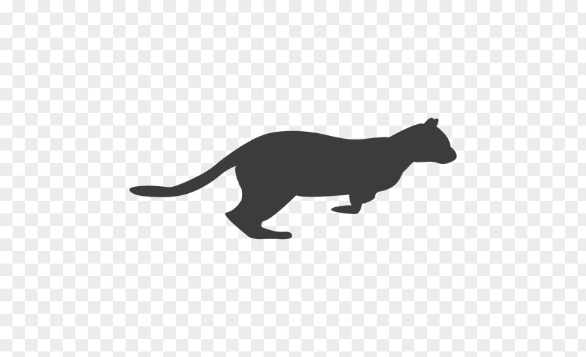 Sequence Vector Cat Felidae Drawing Animal PNG
