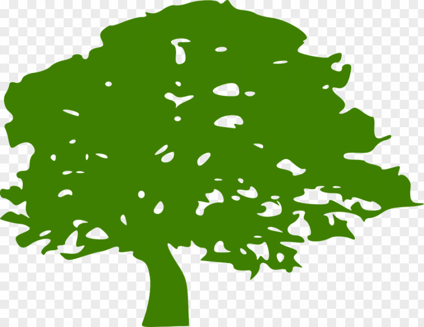 Tree Clip Art PNG