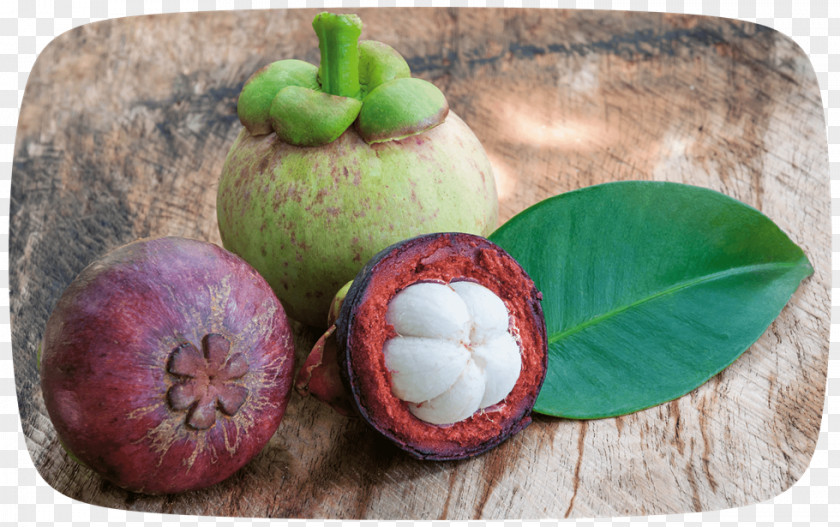 Biofach South East Asia Organic Food Purple Mangosteen PNG