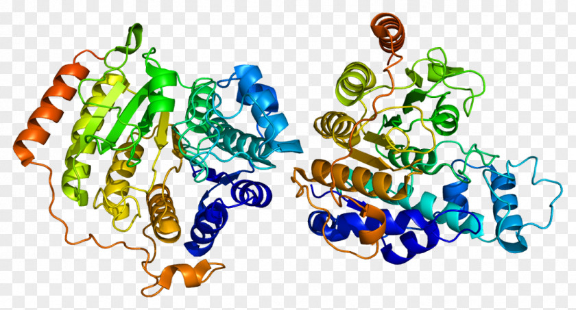 Histone Deacetylase Inhibitor HDAC8 Code PNG