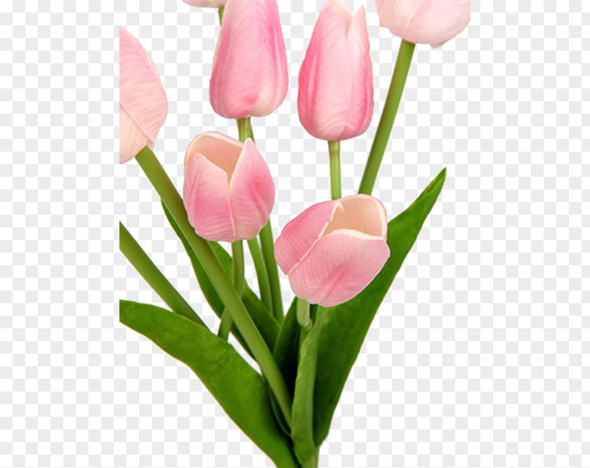 Pink Tulip Bouquet Real Flower Floristry Cut Flowers PNG