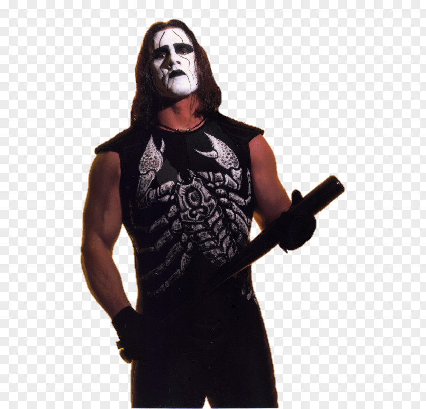 Sting World Championship Wrestling New Order WWE Professional PNG wrestling, wcw clipart PNG