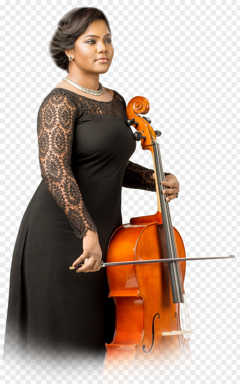 Violin Violone Double Bass Cello Viola PNG