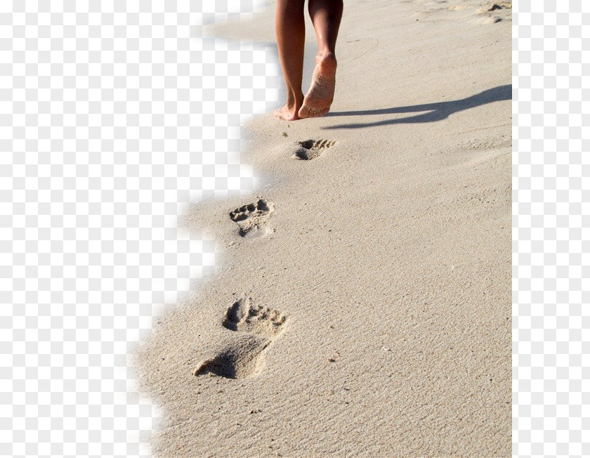 Walking Beach Footprints Siesta Key Sand PNG