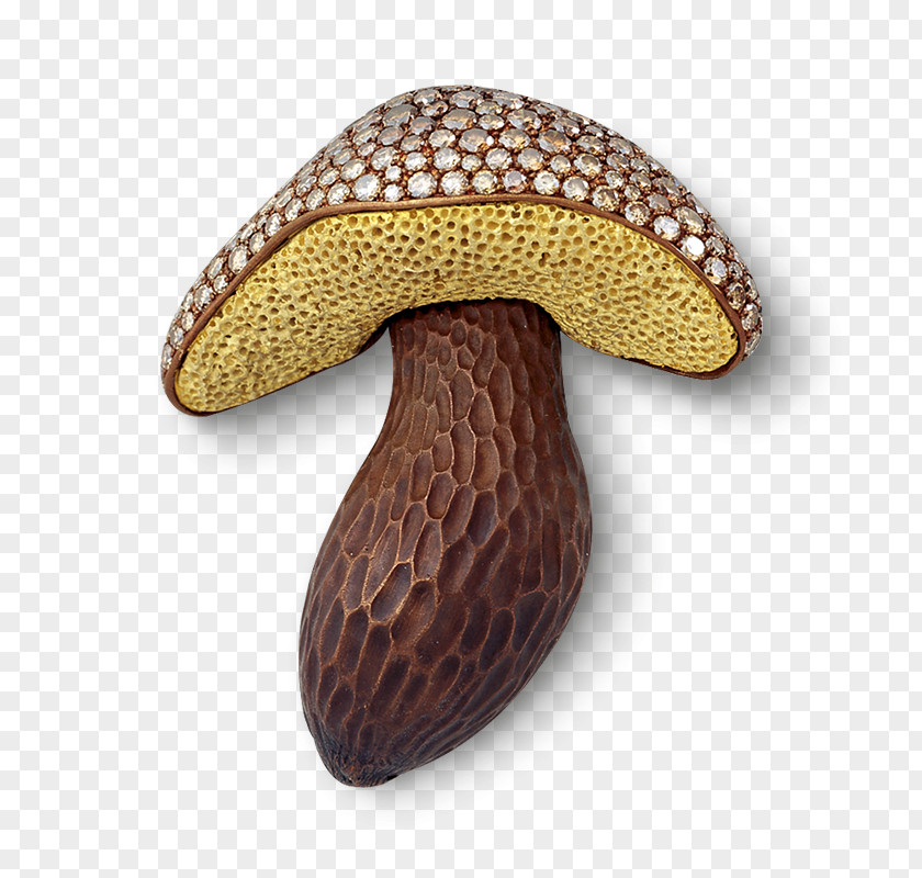Champignon Mushroom Agaric Cartoon PNG