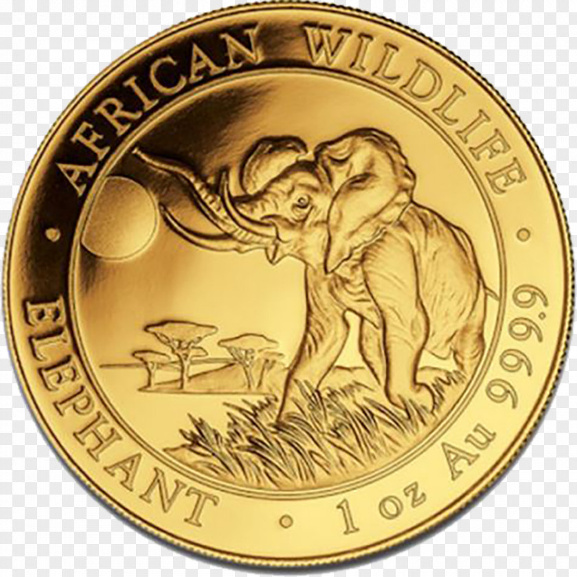 Coin African Elephant Bullion Gold Silver PNG