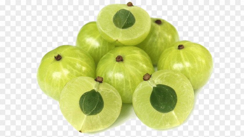 Indian Gooseberry Ayurveda Food Herb PNG