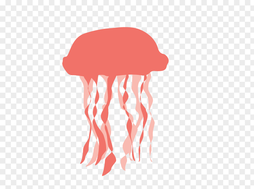 Jellyfish Transparency And Translucency PNG
