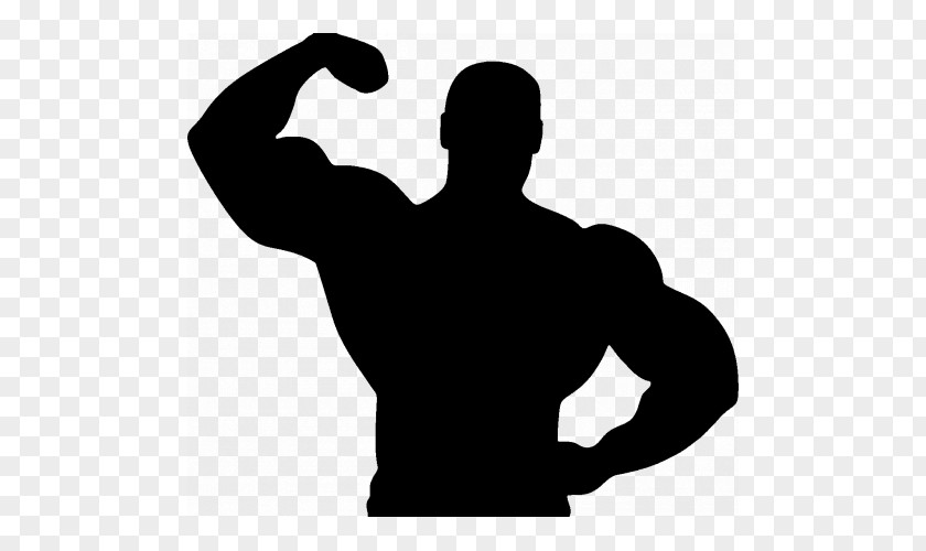 Silhouette Fitness Centre Bodybuilding Physical PNG