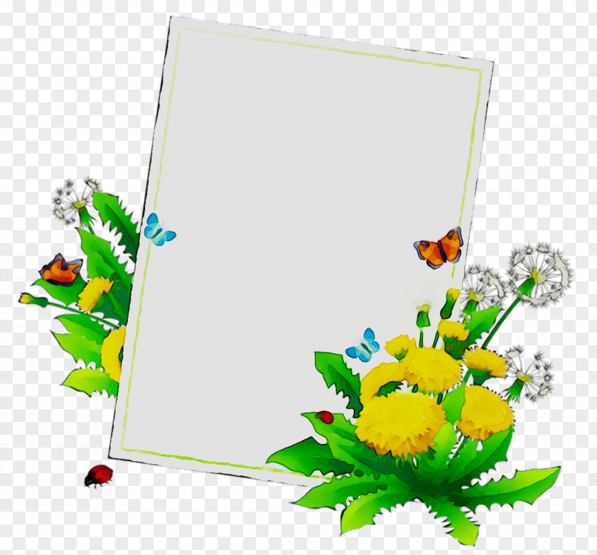 Floral Design Insect Clip Art Cut Flowers Product PNG