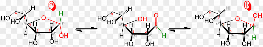 Furanose Sauerstoffbrücke Graphic Design Lactol PNG