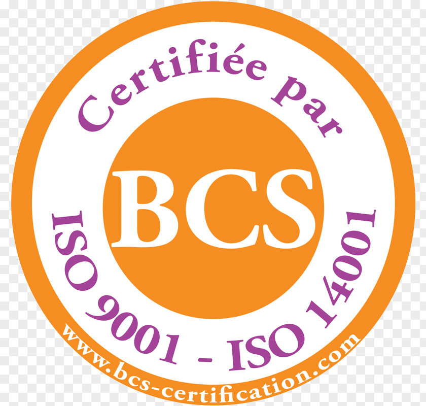 Hight Certification Cualificación Profesional ISO 9001 9000 Public Key Certificate PNG