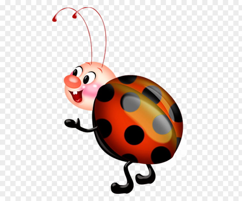 Ladybug Clip Art PNG