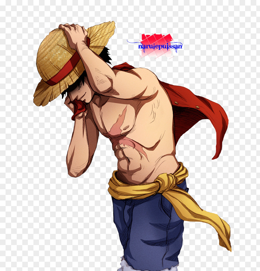 One Piece Monkey D. Luffy Nami Portgas Ace Usopp Piece: Pirate Warriors PNG