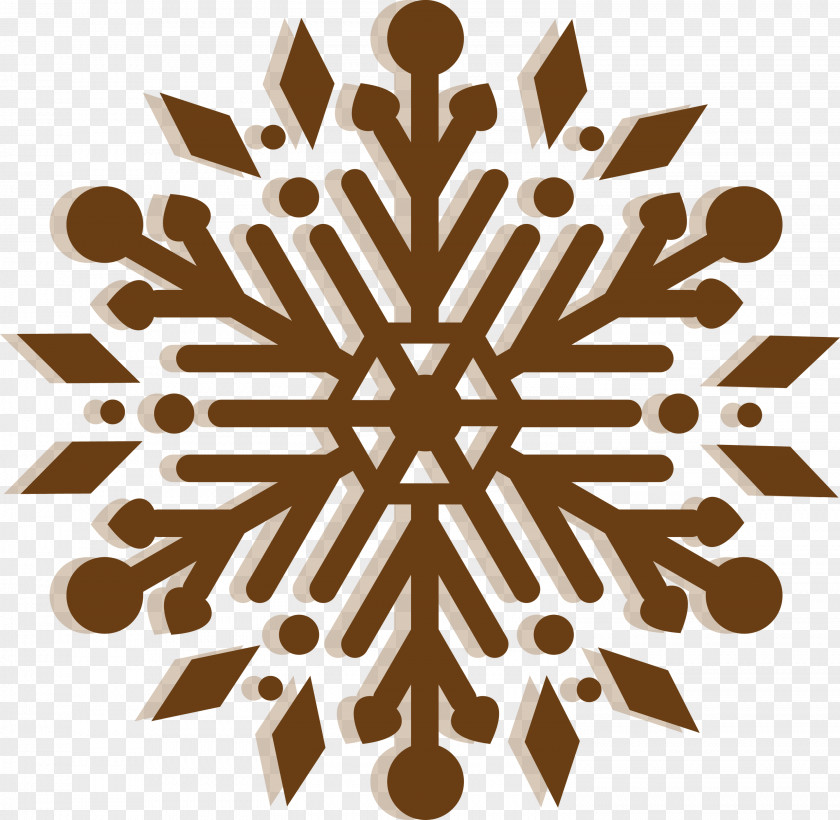 Snowflake Winter PNG