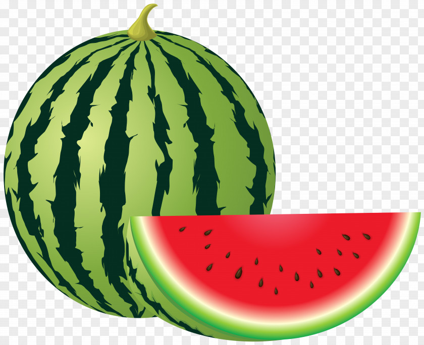 Watermelon Clip Art Image PNG