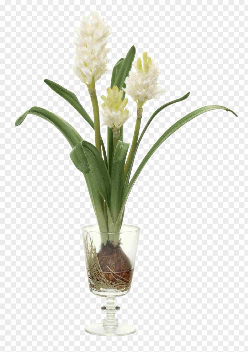 White Flower Glass Decoration Software Installed Floral Design Bouquet Bottle PNG