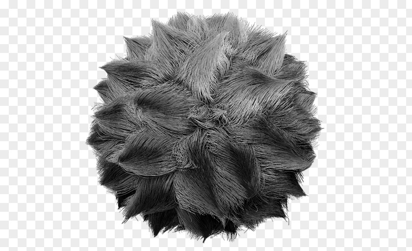 Hair ZBrush Fur Texture Mapping PNG