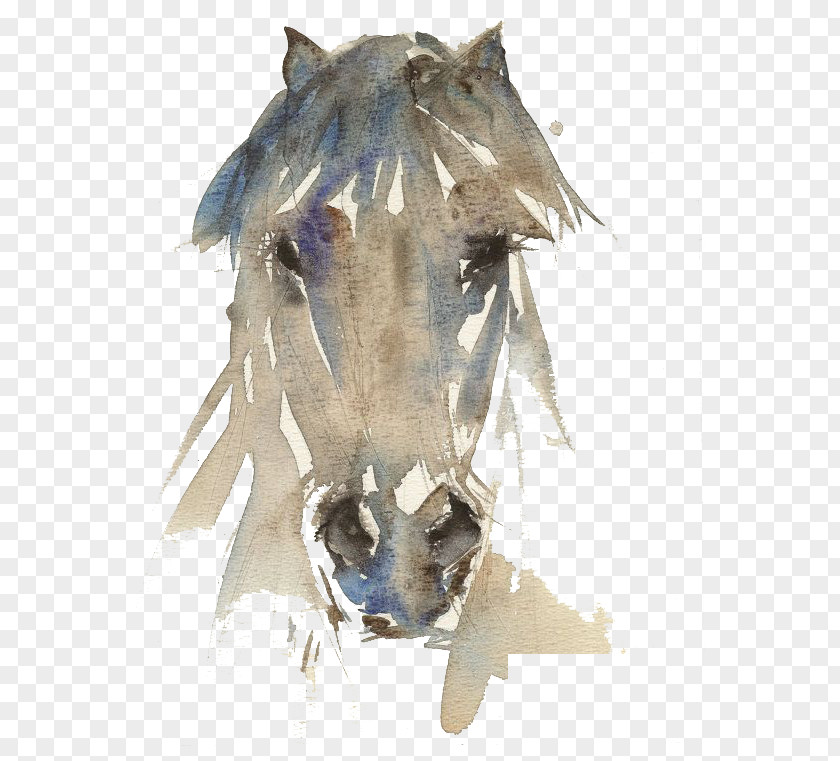 Ink Horse Watercolor Painting Drawing Art PNG