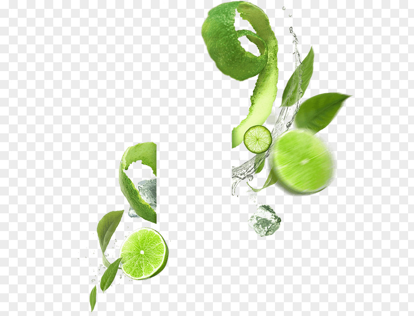 Mojito Lemonsoda Carbonated Water Fizzy Drinks Food PNG