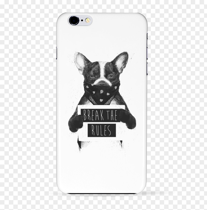 Puppy French Bulldog Giant Panda Black And White PNG