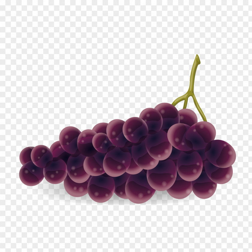 Vector A Bunch Of Grapes Grape Kyoho Zante Currant Berry PNG