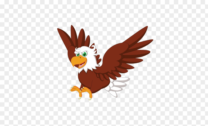 Aigle 3 Bald Eagle Owl Vector Graphics Clip Art Hawk PNG