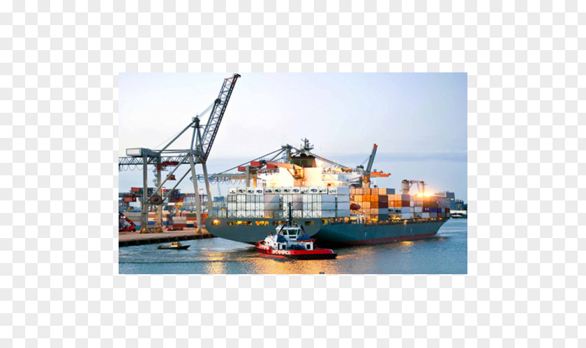 Business Freight Forwarding Agency Cargo Logistics Transport PNG