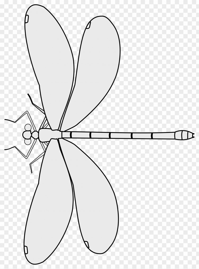 Dragonfly Sketch Leaf Cartoon Petal Line Art Clip PNG