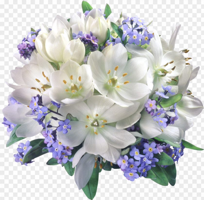 Flower Wedding Bouquet Jasmine Clip Art PNG