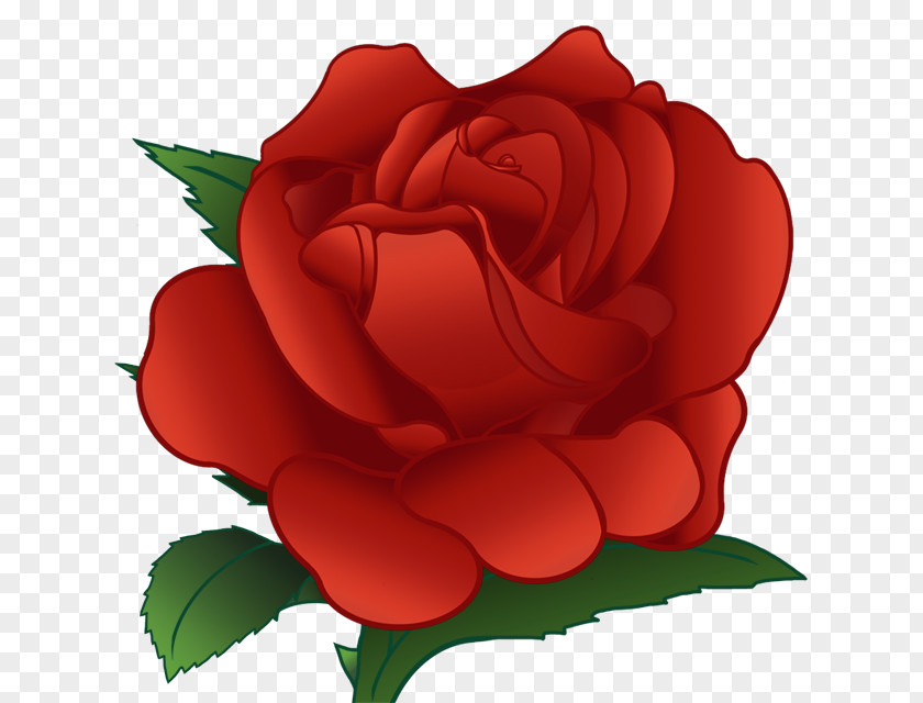 Gesang Flower Garden Roses Download Centifolia Clip Art PNG